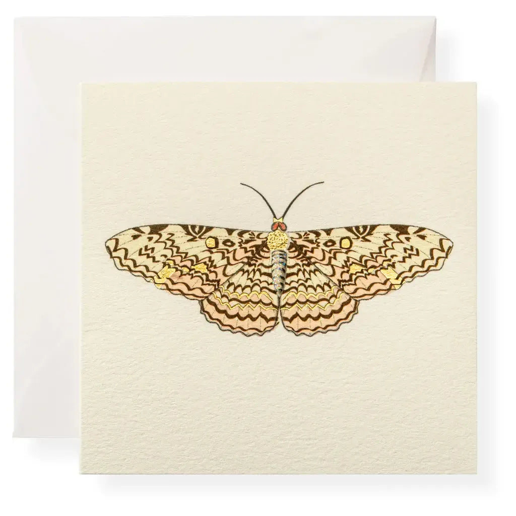 Butterfly Enclosure Card